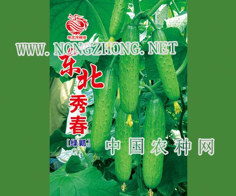 东北秀春